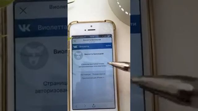 Обзор профиля Разбор бизнеса в Инстаграмм