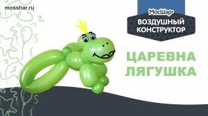 Царевна Лягушка - пошаговый гайд. Как сделать игрушку из ШДМ (шаров для моделирования)