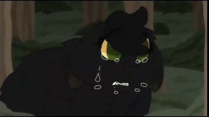 Коты Воители Остролистая и Искра клип