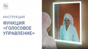 Функция "Голосовое управление"