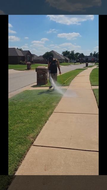 Pest Control Spray Treatment
