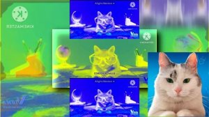 (YTPMV) kotiynet govorit Genadiy Petrovich sovsem krysha poehala effects Scan