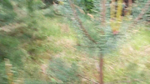 Дощ і маслята. смотреть онлайн