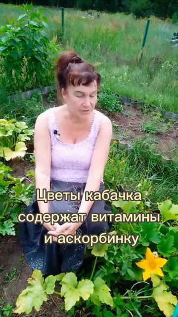 Не спешите выбрасывать эти цветы с вашего огорода! смотреть онлайн