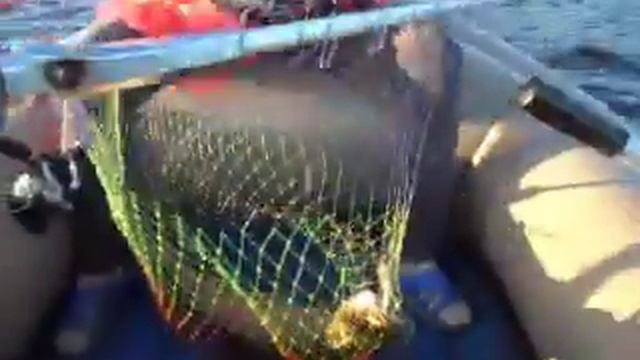 Женская рыбалка. Рыбалка на щуку.Щука настоящий боец. смотреть онлайн