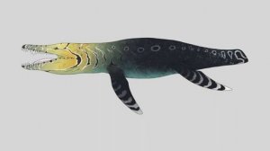 sachicasaurus