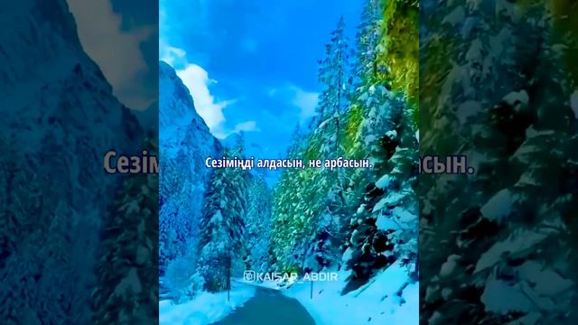 😍БӘРІ СЕНІ БАҚЫТТЫ ДЕП ОЙЛАСЫН😍 авторы: Меруерт Әміржанова & оқыған: Қайсар Берікұлы (ПОЭЗИЯ-2021)