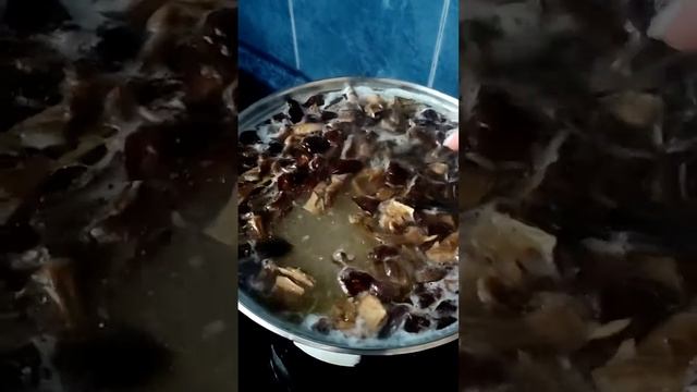 Сливочный СУП с белыми грибами на курином бульоне