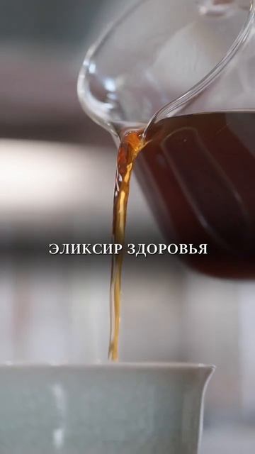 «Комбуча» - эликсир здоровья 🙌