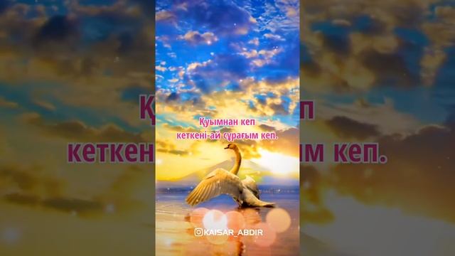 🦢ЖАЛҒЫЗ АҚҚУ🦢 авторы: Сәулеш Шәтенова, оқыған: Қайсар Берікұлы (КАЗАКША ПОЭЗИЯ-2020)