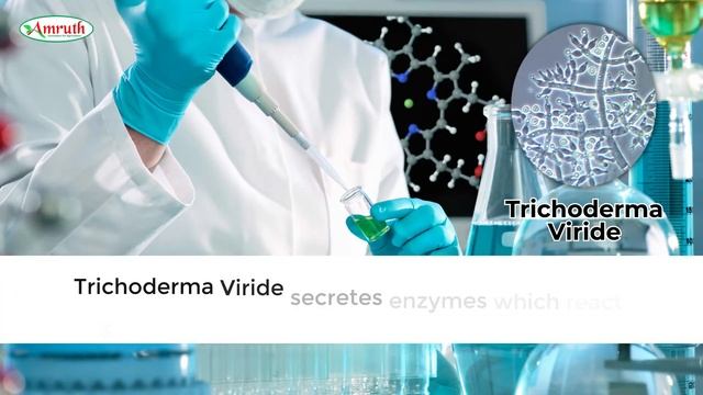 TRICHODERMA VIRIDE | AMRUTH ORGANIC FERTILIZERS |BIO FUNGICIDE| ALDERM |DISEASE MANAGEMENT| ORGANIC смотреть онлайн