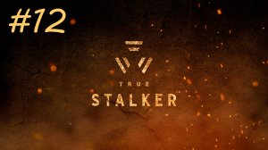 [PC] True Stalker | Прохождение | #12