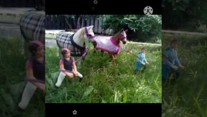 Фото с лошадьми Schleich на природе.