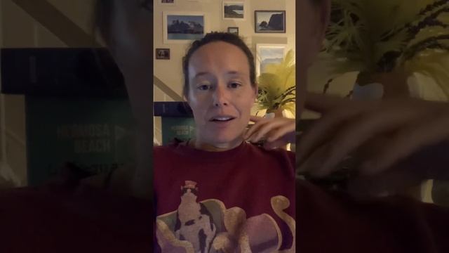 Why did my Fall Tepache GO BAD? Spoilage Yeast & Bacteria UNDER THE MICROSCOPE! смотреть онлайн