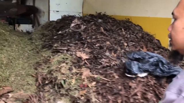 Pembuatan Pupuk Biologi Biopestisida смотреть онлайн