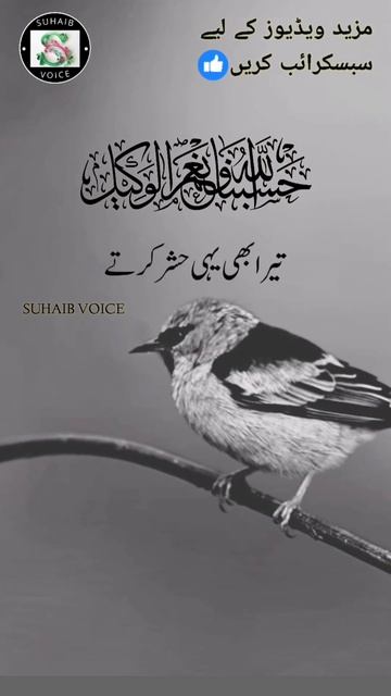 Peer Ajmal Raza Qadri Emotional Bayan Status🥺 Islamic WhatsApp Status😭#bayan #2022 #islam #shorts смотреть онлайн