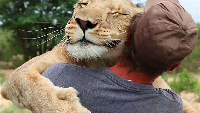 Ласковые психологические убийцы невротика