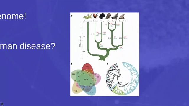 Biotechnology Lecture Video 4