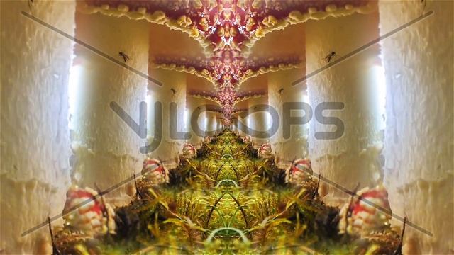 1 Hour Mushroom Trip : Psychedelic Fungi Fantasy with Calming Cosmic Music смотреть онлайн