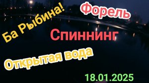 Ловля форели в январе на спиннинг. Открытая вода 2025!