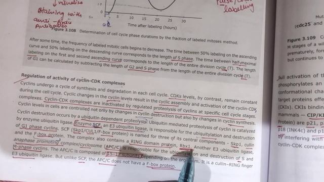 CELL DIVISION ll CELL CYCLE। CSIR-DEC ll CSIR NET JRF। life science l GATE l LECTURE-1 смотреть онлайн