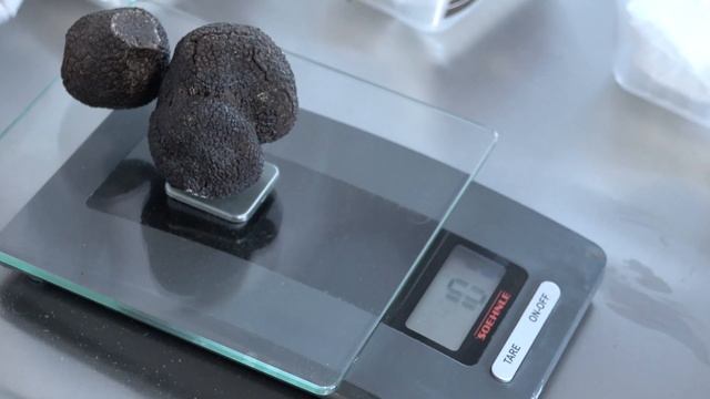 TRUFFLE INGLES смотреть онлайн