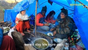 yarsagumba hunters || episode-36 || cordyceps || caterpillar fungus || Nepal || lajimbudha ||