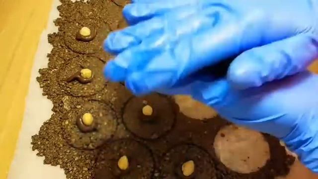 Конфеты Ферерро в домашних условиях. Простой рецепт смотреть онлайн