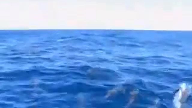 Vargo - Talking One Language смотреть онлайн