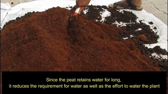 Earthworm In Garden Soil смотреть онлайн