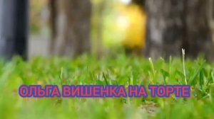 СУДАКОВУ ИЩУТ! ДЕПОРТАЦИЯ? ИННА СУДАКОВА. ОБЗОР.