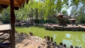 Сафари-Парк, Солнечный остров. Краснодар.