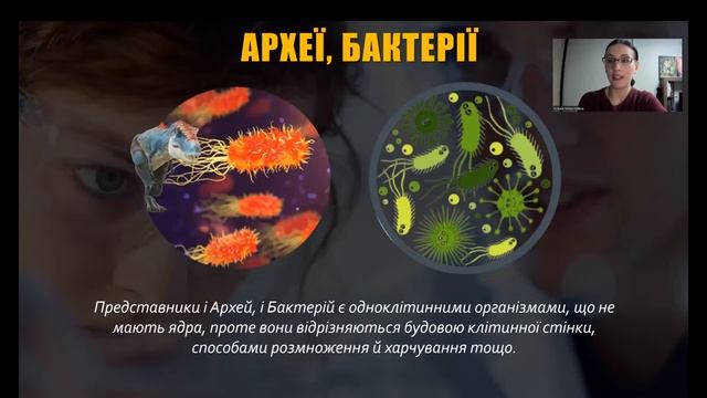 Різноманітність організмів: бактерії та гриби смотреть онлайн