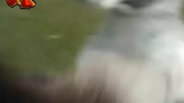 boxing kangaroo attacks in the garden - boxing kangaroo смотреть онлайн