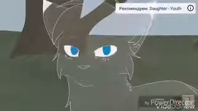 Клип коты воители эти роли не для нас смотреть онлайн