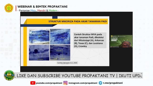 Potensi Pengendalian OPT dengan Agens Hayati Pada Tanaman Pangan