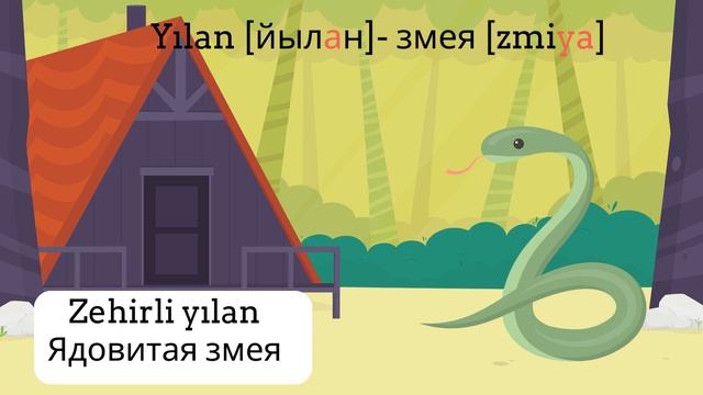 Учим турецкие слова в картинках с примерами. Урок 10. Дикие животные в турецком языке смотреть онлайн