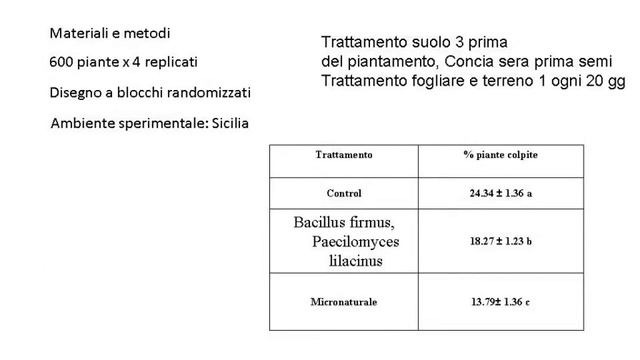 micronaturale della carota смотреть онлайн