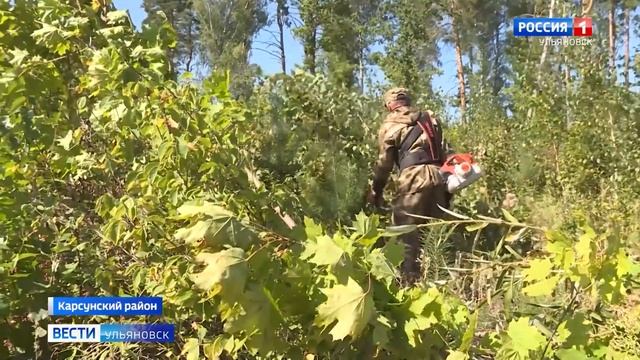 В Карсуне очистили от сора молодой лес смотреть онлайн