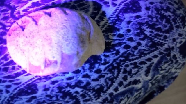 под ультрафиолетом увидела окаменелость смотреть онлайн