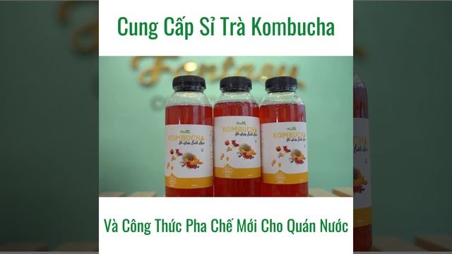 VIDEO QC NƯỚC UỐNG LÊN MEN KOMBUCHA
