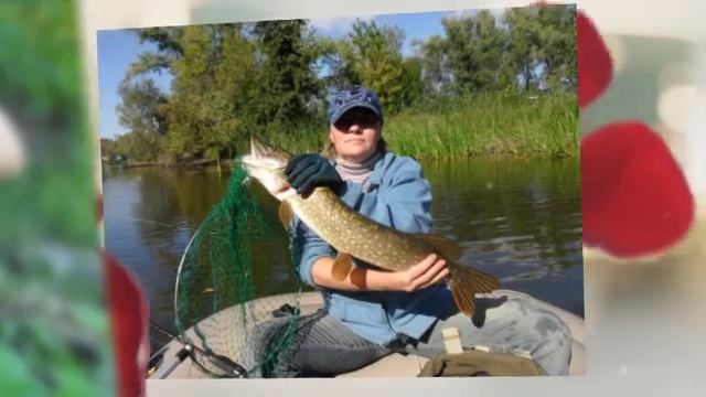 Презентация на тему хобби смотреть онлайн