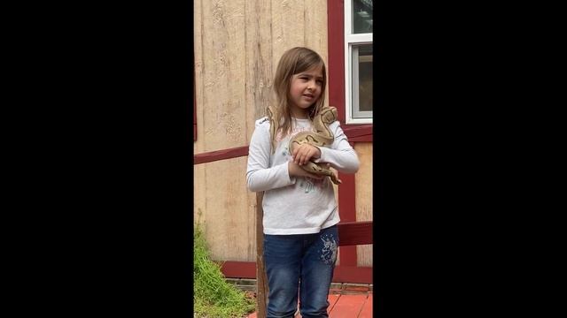 6 year old Scarlett doing an animal show - Ball Python смотреть онлайн