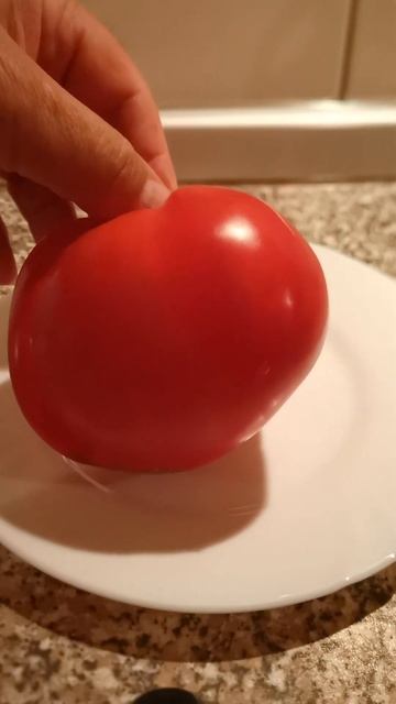 Японка. Томат. Дача как хобби. смотреть онлайн