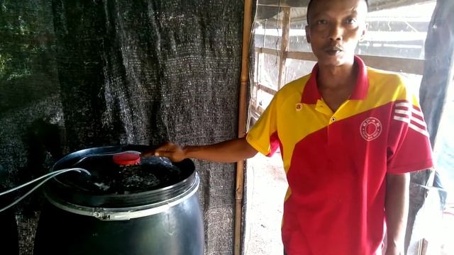 Pembuatan Corynebacterium | Paenibacillus polymixa | Trichoderma harzianum смотреть онлайн