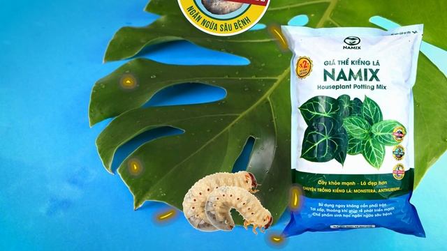 Giá Thể Trồng Kiểng Lá Namix - Thổi Bùng Chất Riêng смотреть онлайн