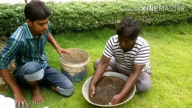 Bio- NPK , Trichoderma aur Pseudomonas Use kijiye aur Kamaal Dekhiye. смотреть онлайн