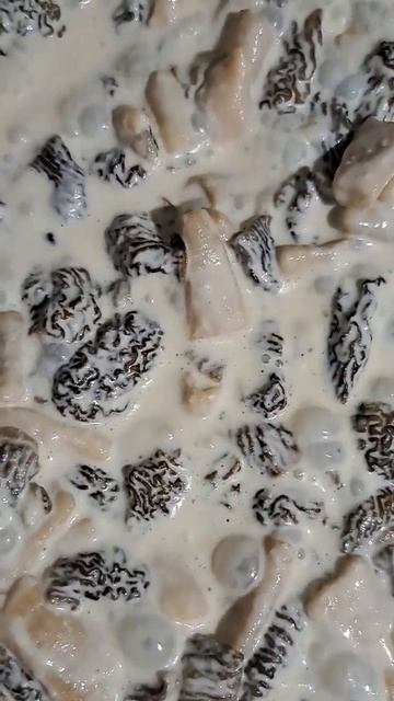 Сморчковая шапочка в сливках! В ожидании сезона) смотреть онлайн