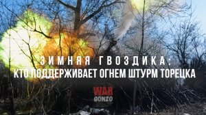 Спецрепортаж WG «Зимняя гвоздика: кто поддерживает огнём штурм Торецка»