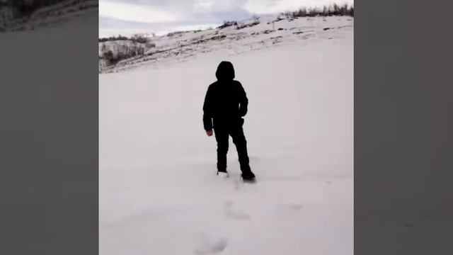 Пародия на клип Грибы "КОПЫ" смотреть онлайн